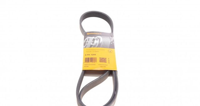 6PK1244 Continental/Siemens Correa poly v