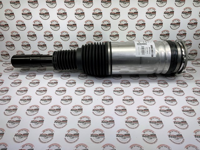 ASE3735 Arnott Amortiguador frontal izquierdo