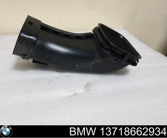 13718662934 BMW