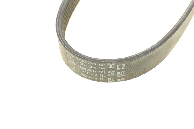 6PK780ELAST Continental/Siemens Correa poly v