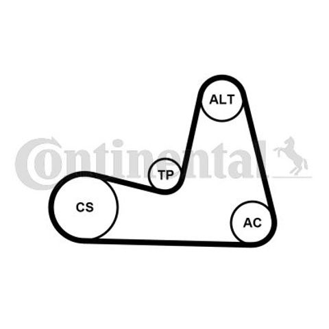 Correa de transmisión, juego Continental/Siemens 7PK1035K1