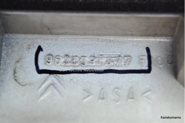 9635595877 Peugeot/Citroen