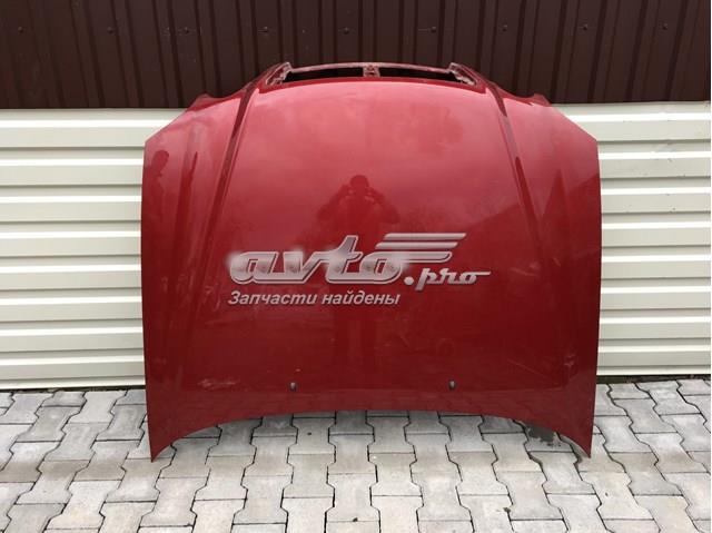 Capó 664003C800 Hyundai/Kia