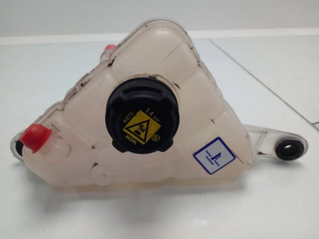 Botella de expansión Fiat/Alfa/Lancia 50532261