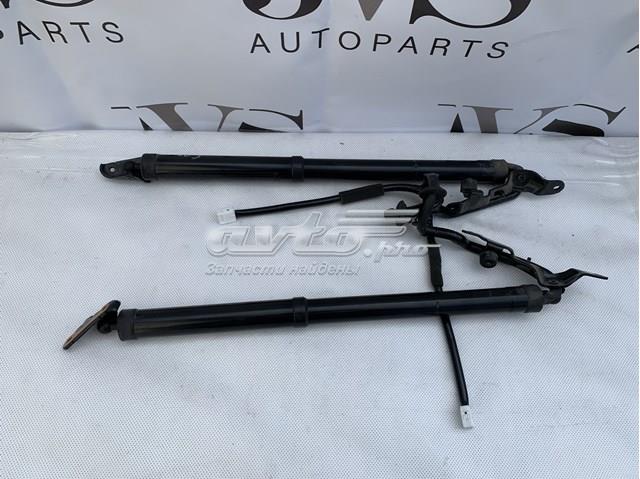 6892049065 Toyota amortiguador de maletero