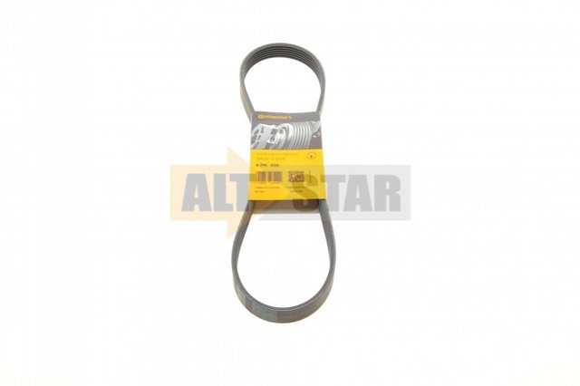 6PK935 Continental/Siemens Correa poly v
