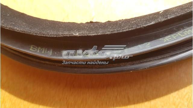 Comprar 7060287 BMW Junta de puerta delantera (en la carrocería)