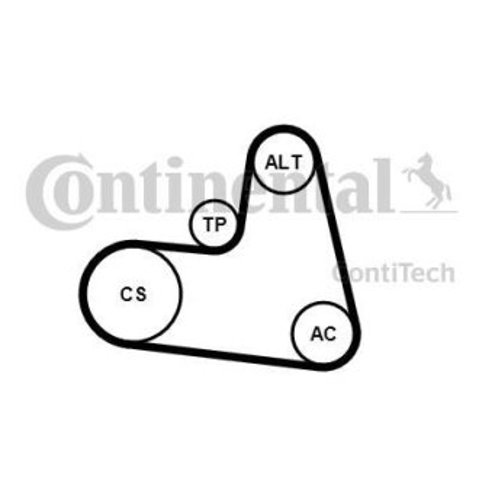 Correa de transmisión, completo Continental/Siemens 6PK1217K1 precio, desde 57,94 EUR