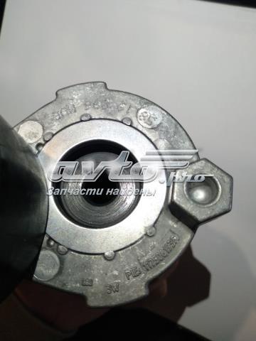117506193R Renault (RVI) Tensor de correa de alternador