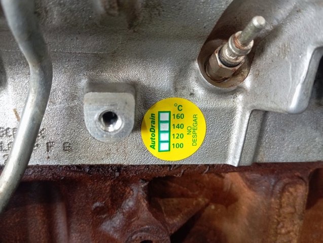 BJFB Ford Motor completo