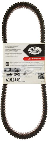 Correa de variador HPX5013 Dayco