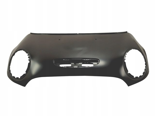 Capot BMW 41008499869