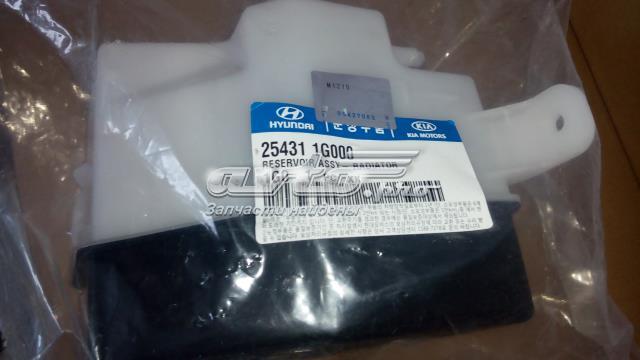 Botella expansion KIA Rio II sedán (JB) (2005 - 2011) precio, desde 49,77 USD