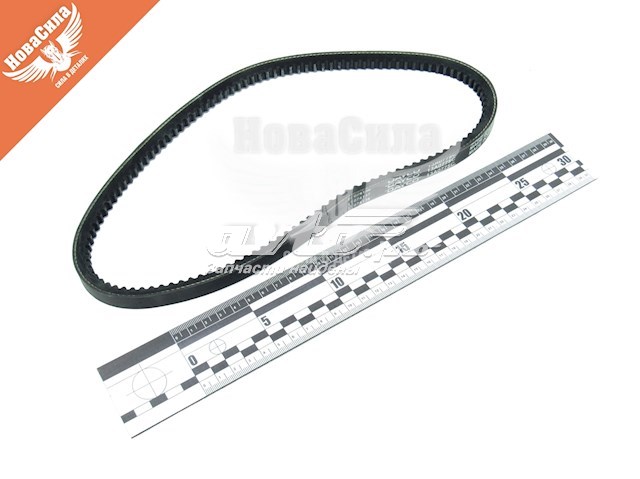 Correa de transmisión trapezoidal Dayco 13A0775C precio, desde 12,64 EUR