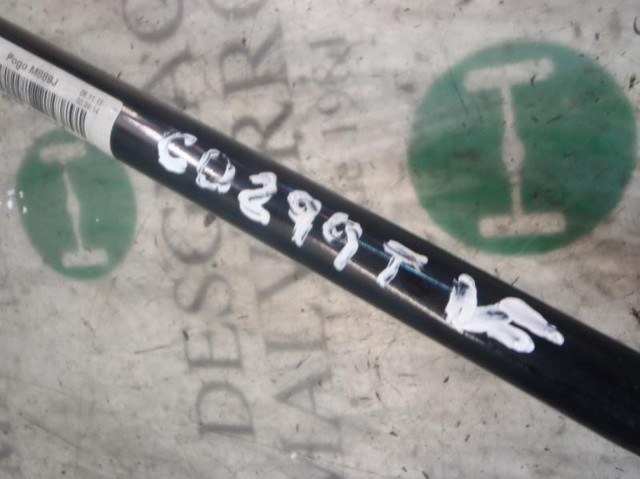 Estabilizador trasero para Ford Focus III CB8