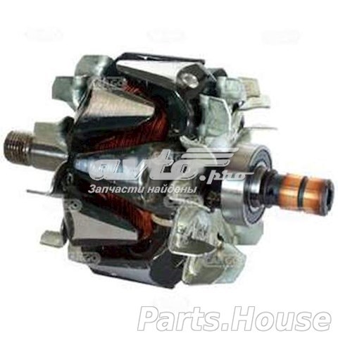 231256 Cargo Rotor del alternador