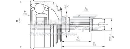 CVJ504110 Open Parts junta homocinética exterior delantera