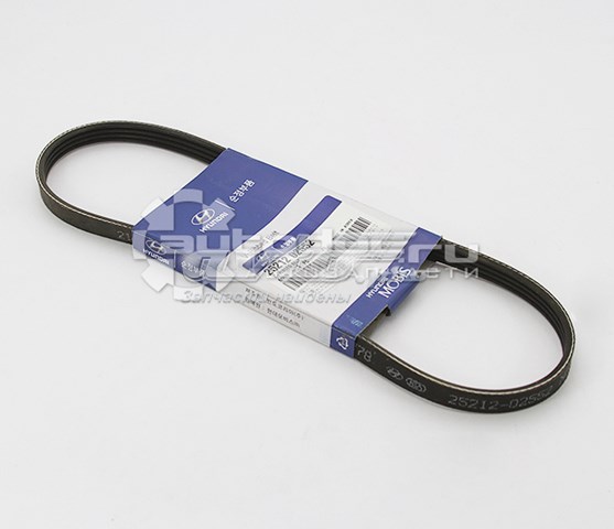 2521202552 Hyundai/Kia correa trapezoidal