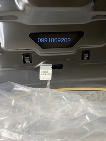 Capó del motor Renault (RVI) 651001566R precio, desde 480,05 EUR