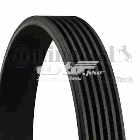 Correa accesorios Continental/Siemens 6PK2077