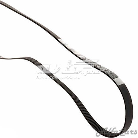 7PK2875 Continental/Siemens Correa poly v