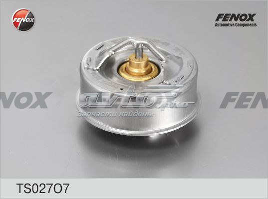 Termostato, refrigerante FENOX TS027O7