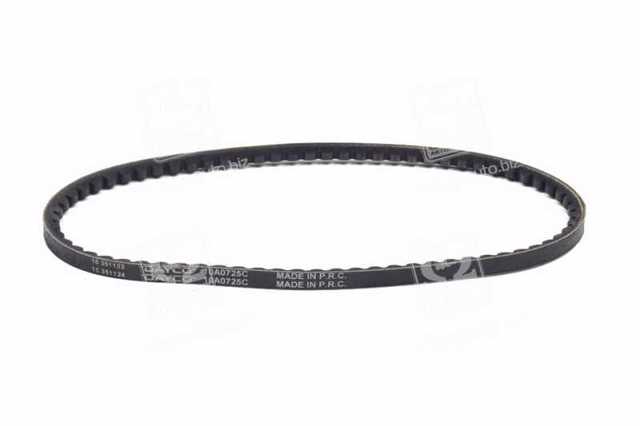 10A0725C Dayco Correa poly v